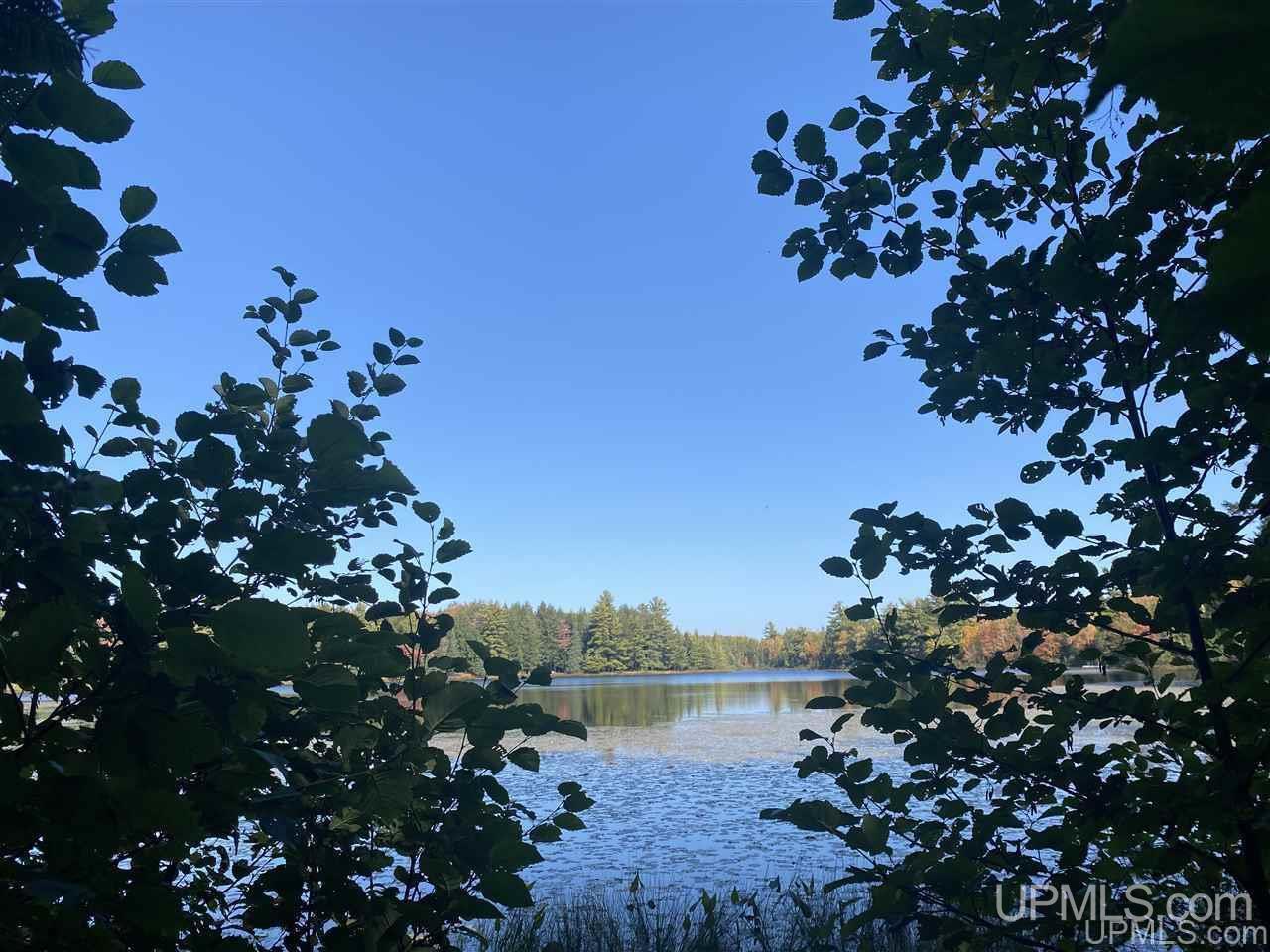 Tbd Tbd Grace Lake Road Watersmeet, MI 49969 - Photo 12 of 16 Gallery Image 12