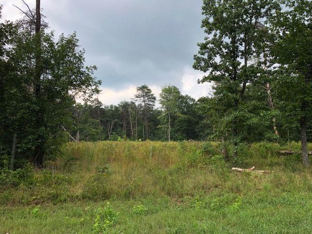 91 County Road Flat Rock, AL 35966 - Photo 1 of 3
