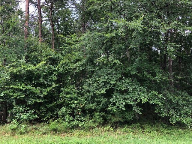 91 County Road Flat Rock, AL 35966 - Photo 2 of 3