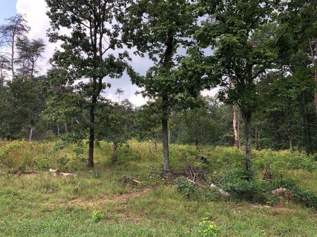 91 County Road Flat Rock, AL 35966 - Photo 3 of 3