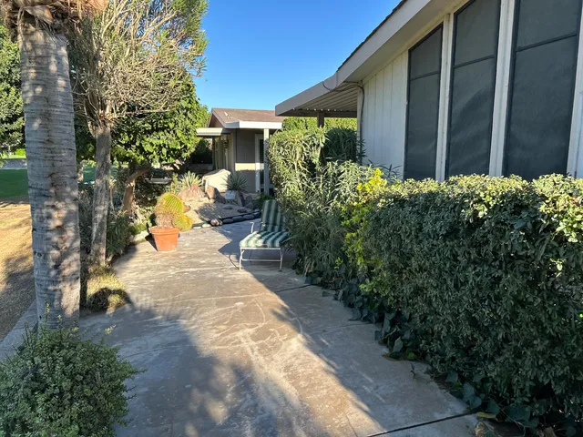 a view of a back yard with flower plants