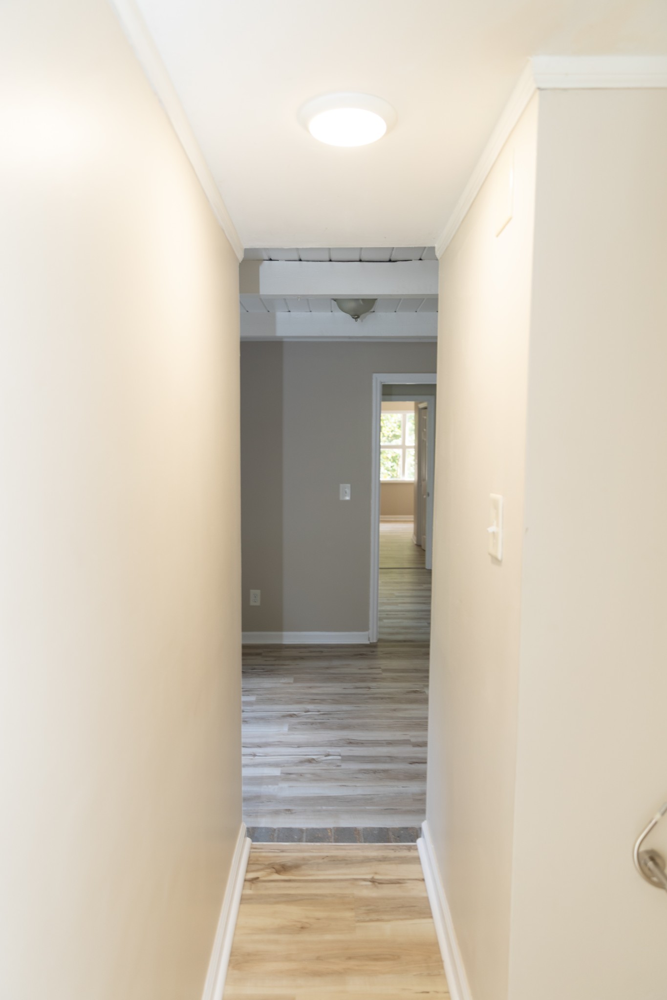 8 Rushing Lane Leoma, TN 38468 - Photo 14 of 23