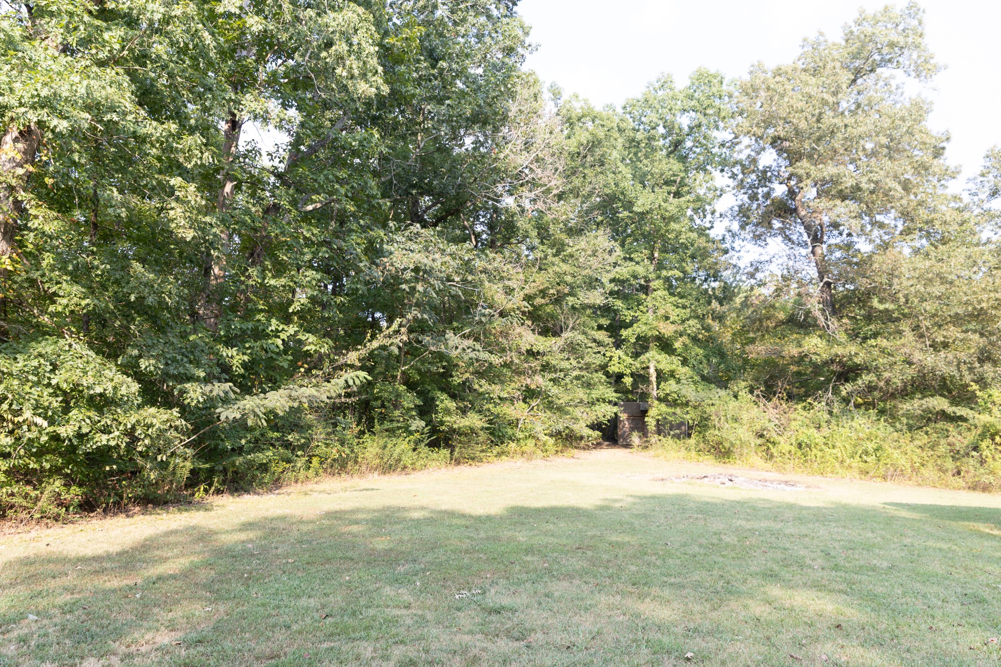 8 Rushing Lane Leoma, TN 38468 - Photo 21 of 23