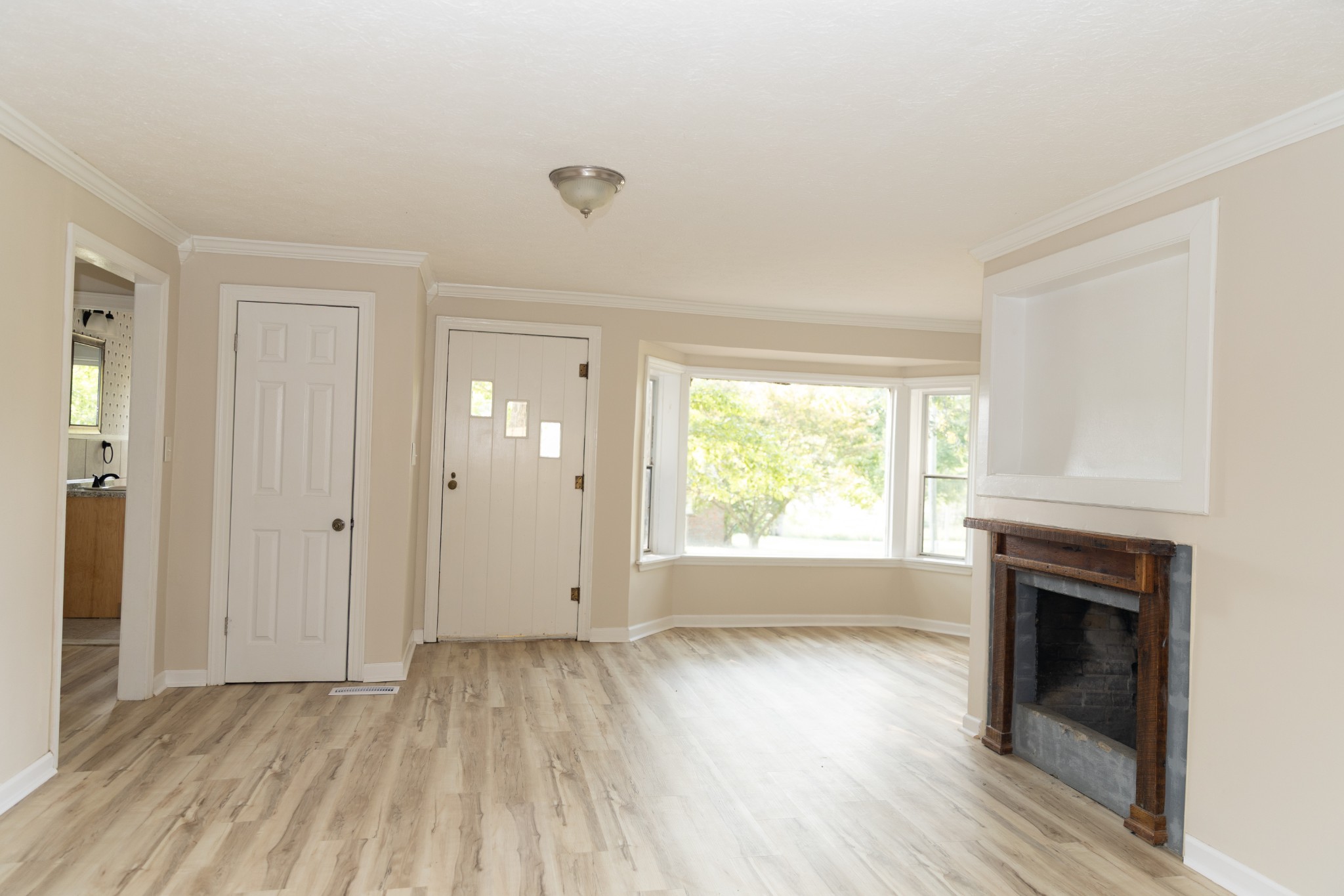 8 Rushing Lane Leoma, TN 38468 - Photo 3 of 23