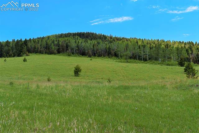 616 Cover Valley Road Guffey, CO 80820 - Photo 4 of 5 Gallery Image 4