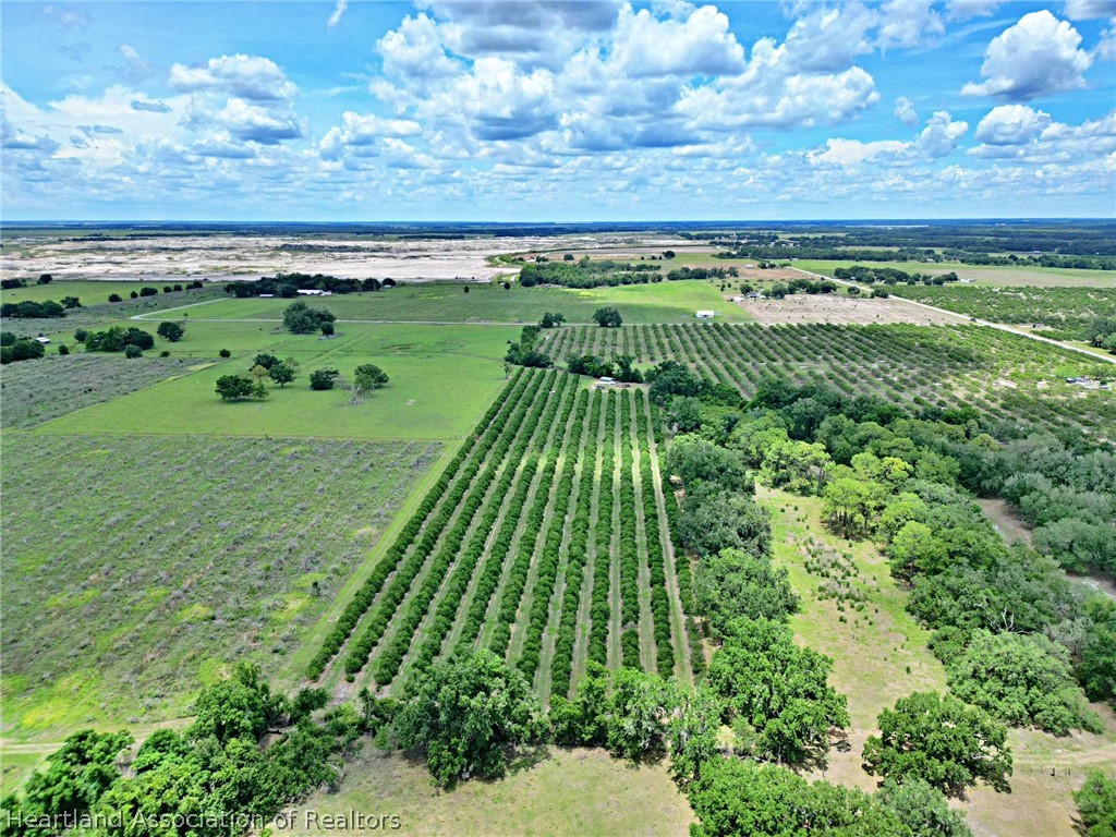 Rhynn Road Wauchula, FL 33873 - Photo 7 of 11
