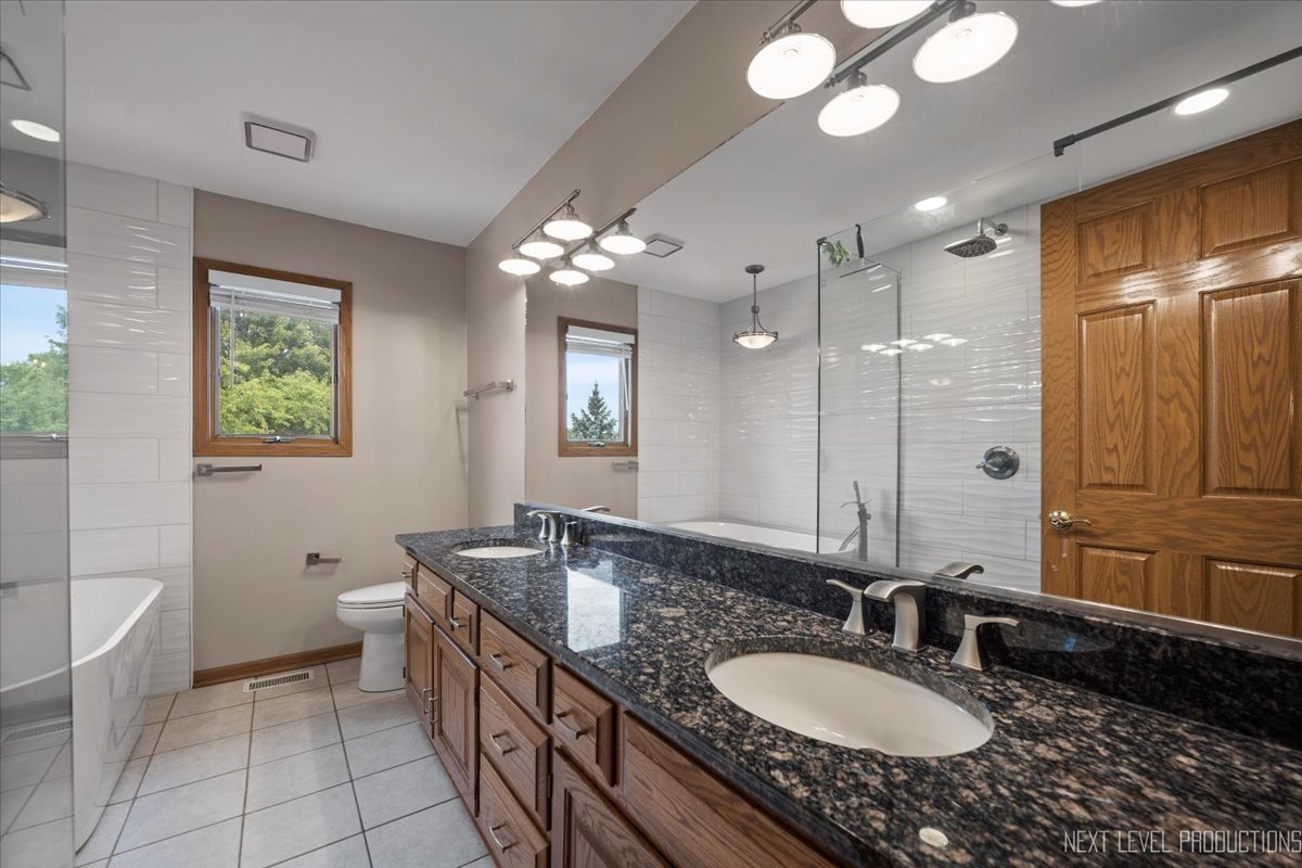 905 Merrill New Road Sugar Grove, IL 60554 - Photo 27 of 44 a spacious bathroom with a granite countertop double vanity sink a mirror and a shower