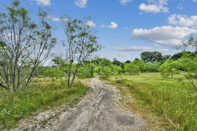 a view of a yard with an trees