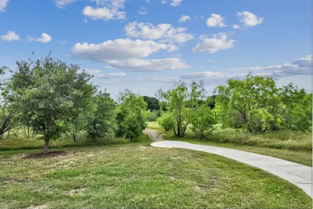 a view of a garden with a tree in front of it