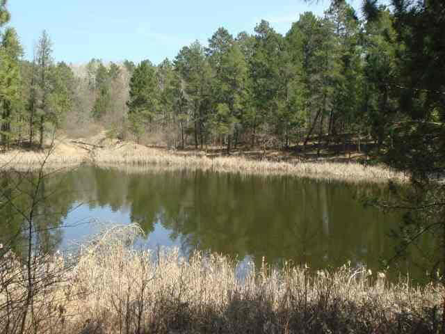 9000 Schaller Road Pequot Lakes, MN 56472 - Photo 2 of 8 Gallery Image 2