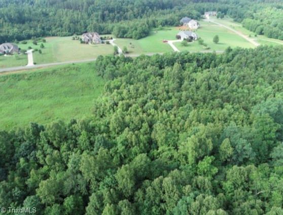 184 Riverchase Road Pinnacle, NC 27043 - Photo 3 of 5