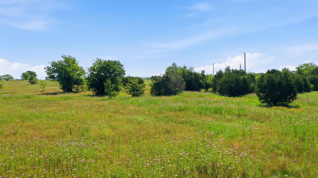 106 Private 191 Road Blum, TX 76627 - Photo 9 of 12