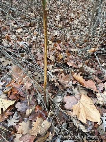 $549,900 | Industry Road, Lebanon, MO 65536