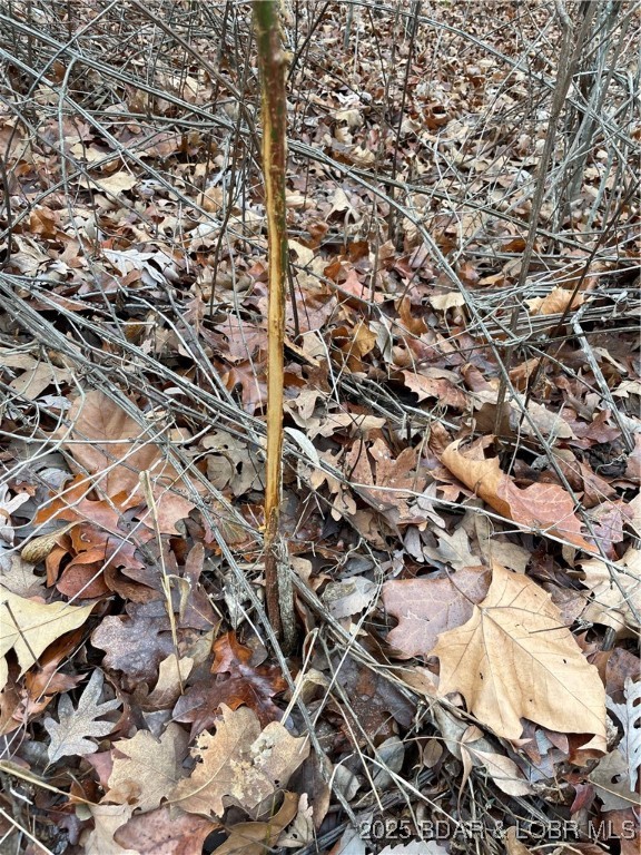 Industry Road Lebanon, MO 65536 - Photo 11 of 18