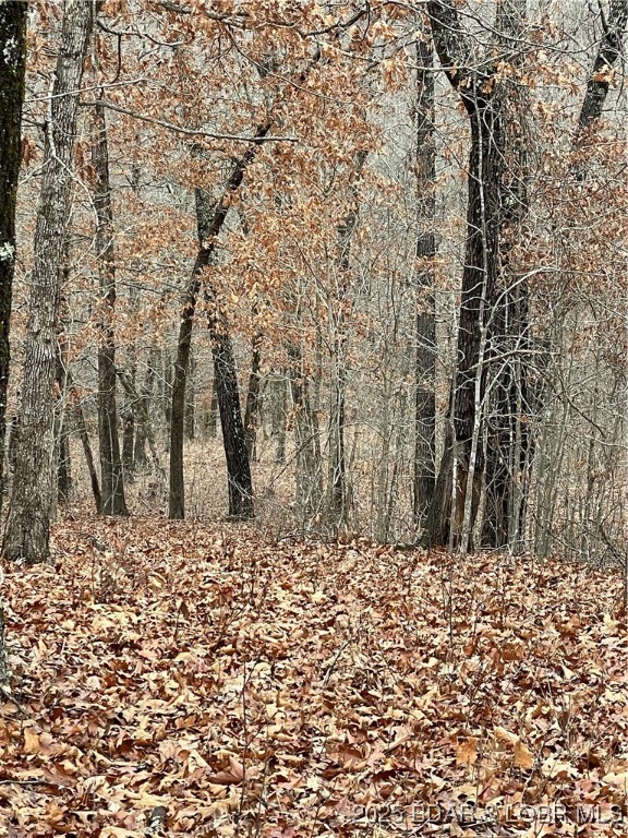 Industry Road Lebanon, MO 65536 - Photo 12 of 18
