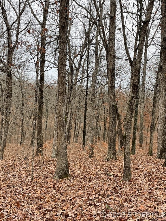 Industry Road Lebanon, MO 65536 - Photo 14 of 18