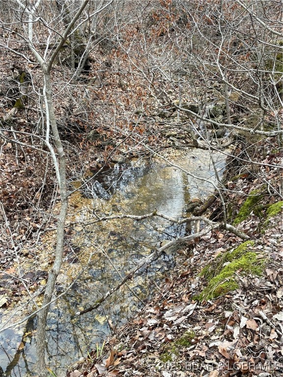 Industry Road Lebanon, MO 65536 - Photo 2 of 18