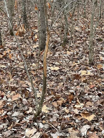 $549,900 | Industry Road, Lebanon, MO 65536