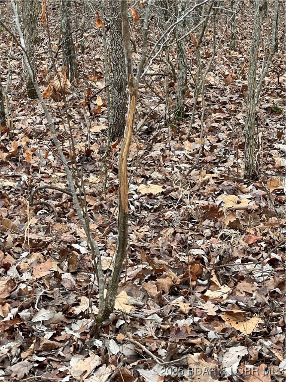 Industry Road Lebanon, MO 65536 - Photo 3 of 18