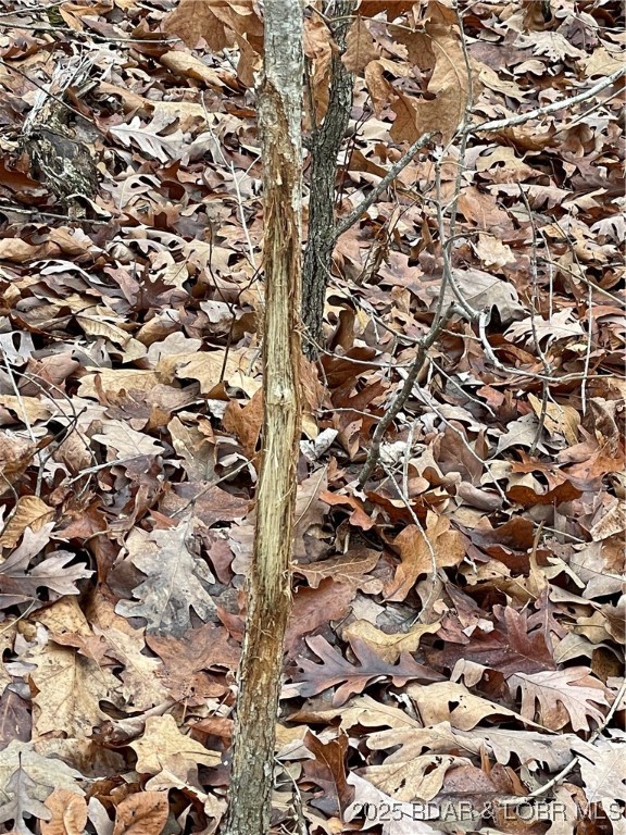 Industry Road Lebanon, MO 65536 - Photo 10 of 18