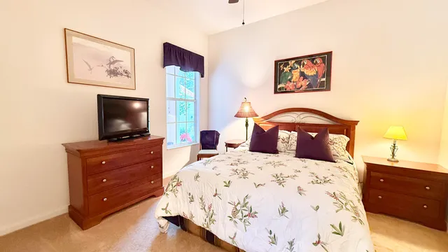 a view of a swimming pool with potted plants