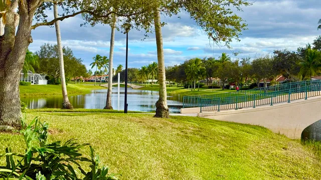 a view of outdoor space with palm trees