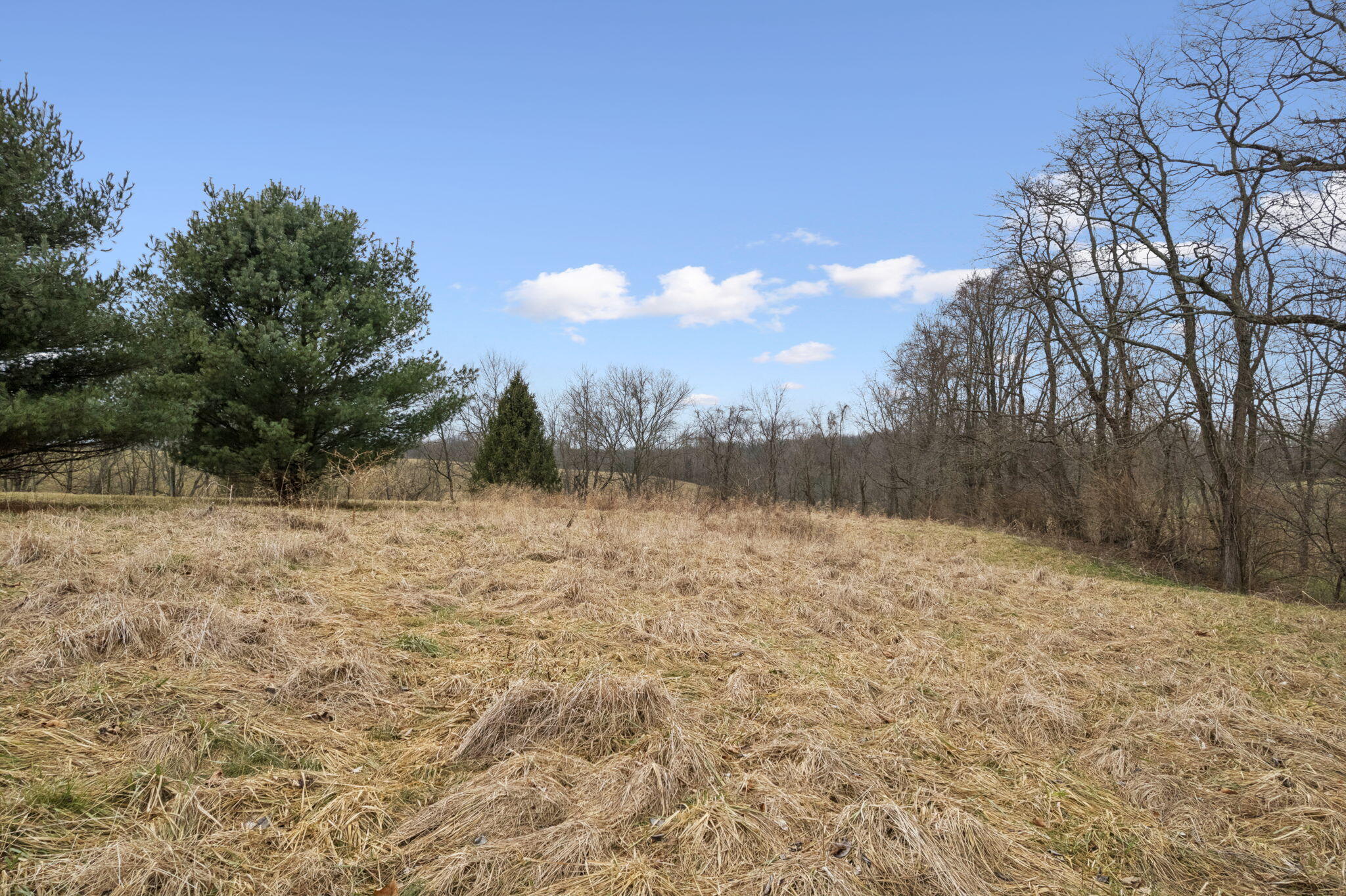 1252 Dutch Ridge Road Augusta, KY 41002 - Photo 28 of 38