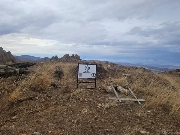 a view of a dry yard with lots of trees