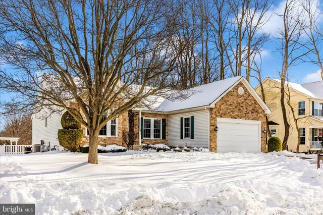 a view of a white house with a large tree
