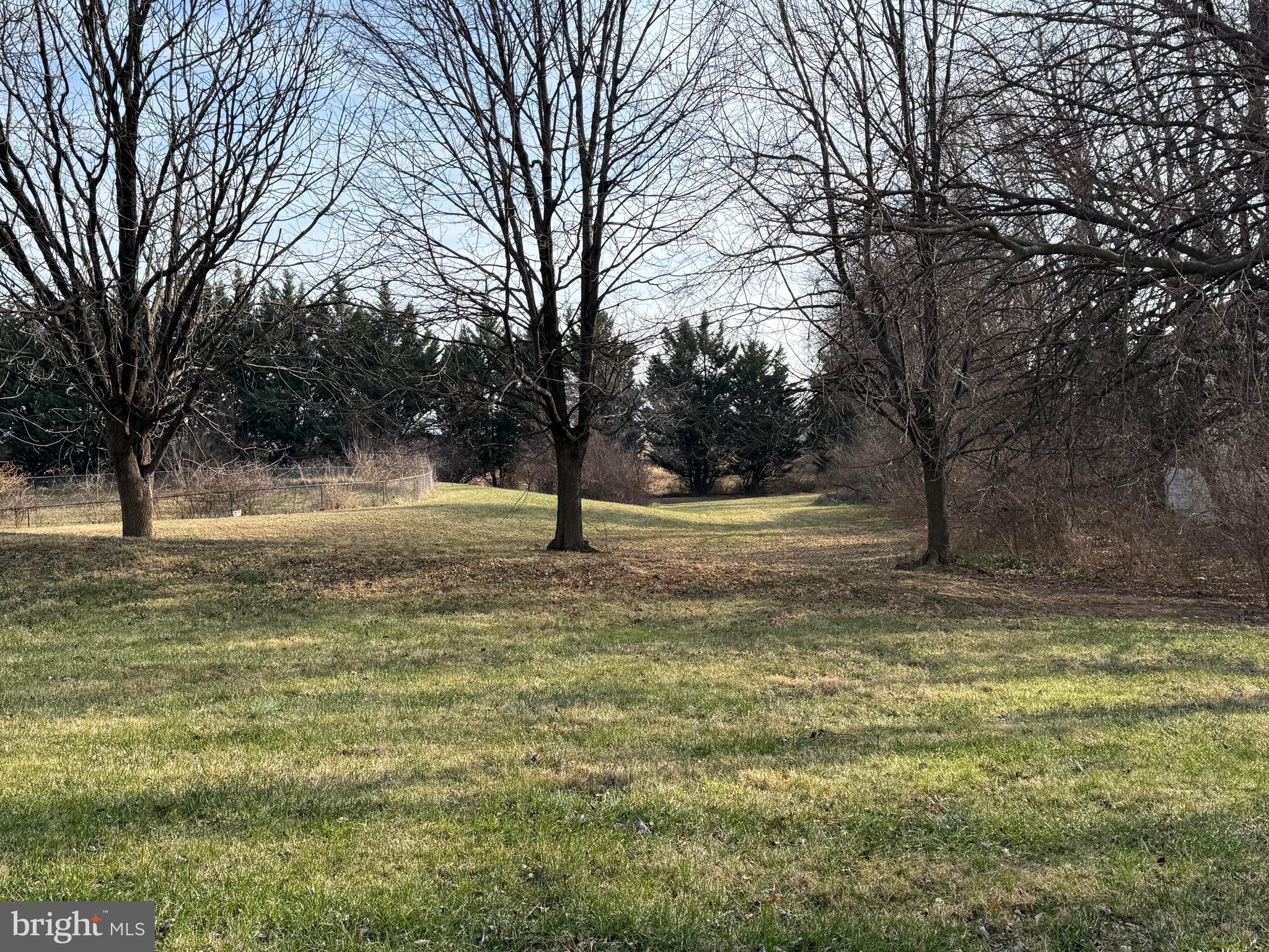 828 Geronimo Drive Frederick, MD 21701 - Photo 10 of 64 a view of a yard with a tree