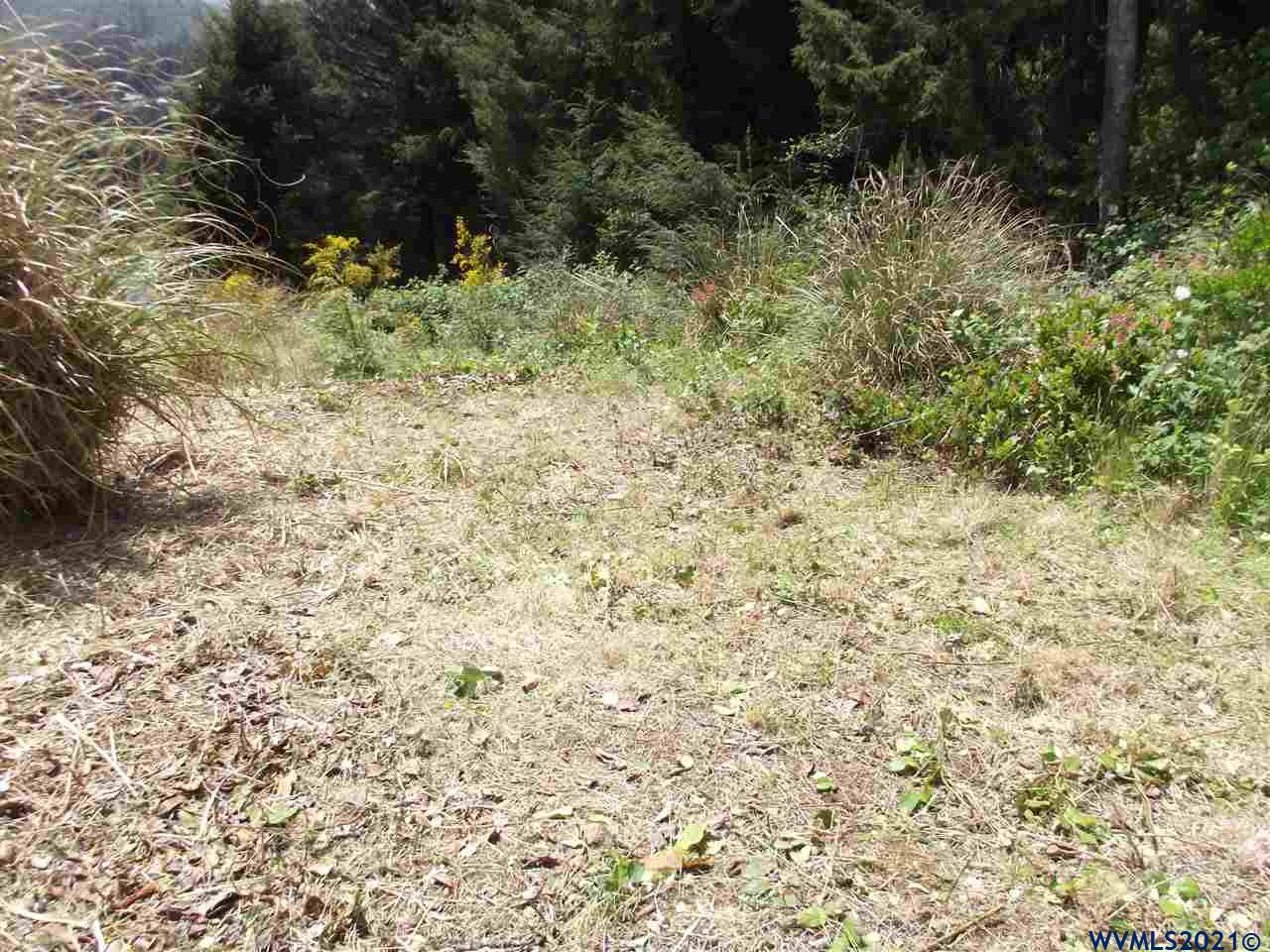 Spring (lot 45) Avenue Depoe Bay, OR 97341 - Photo 3 of 8