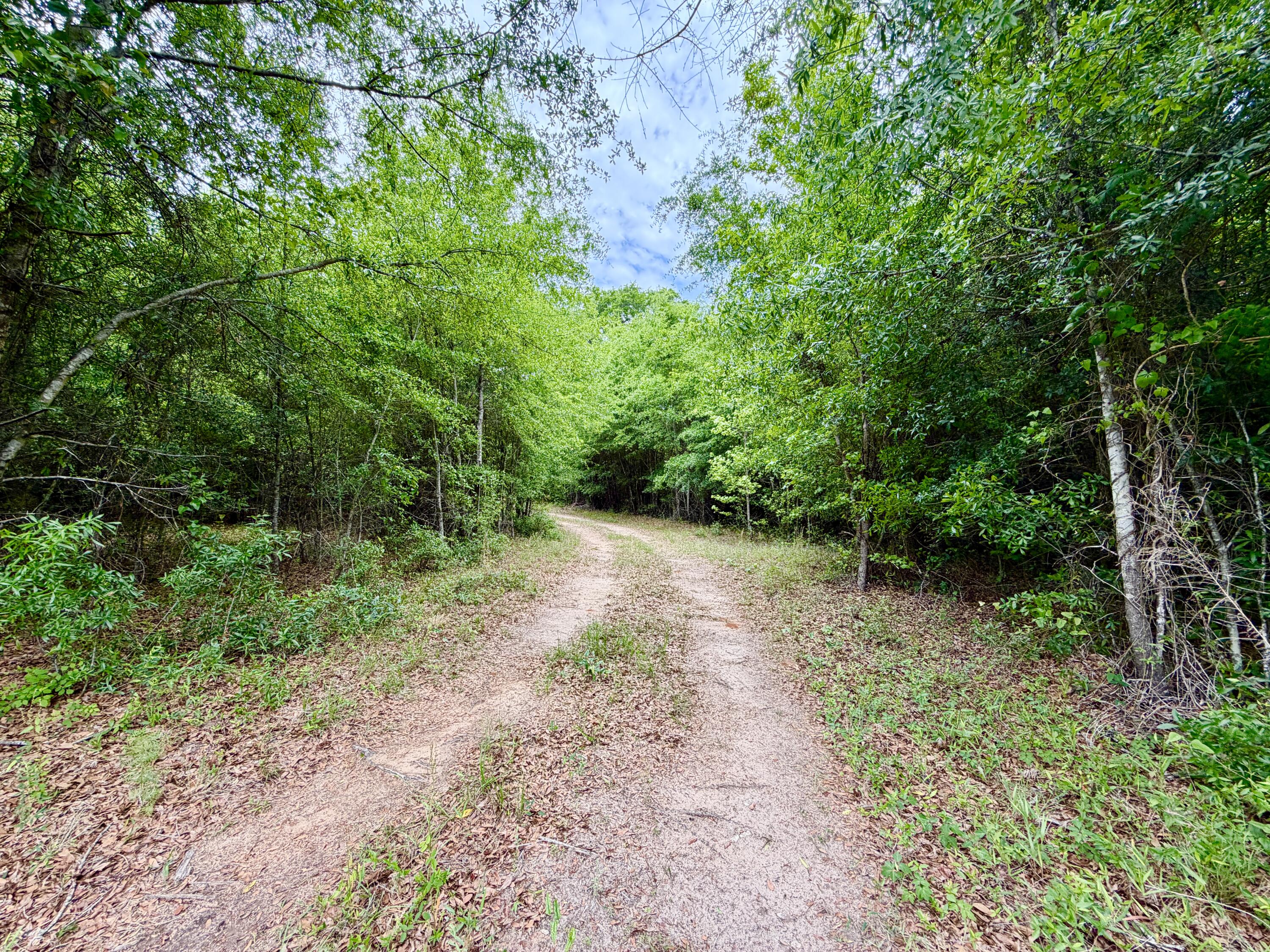 215 Gresham Road Keysville, GA 30816 - Photo 11 of 15 8CB21348-03CE-4A46-9B01-4613B9E9BF30