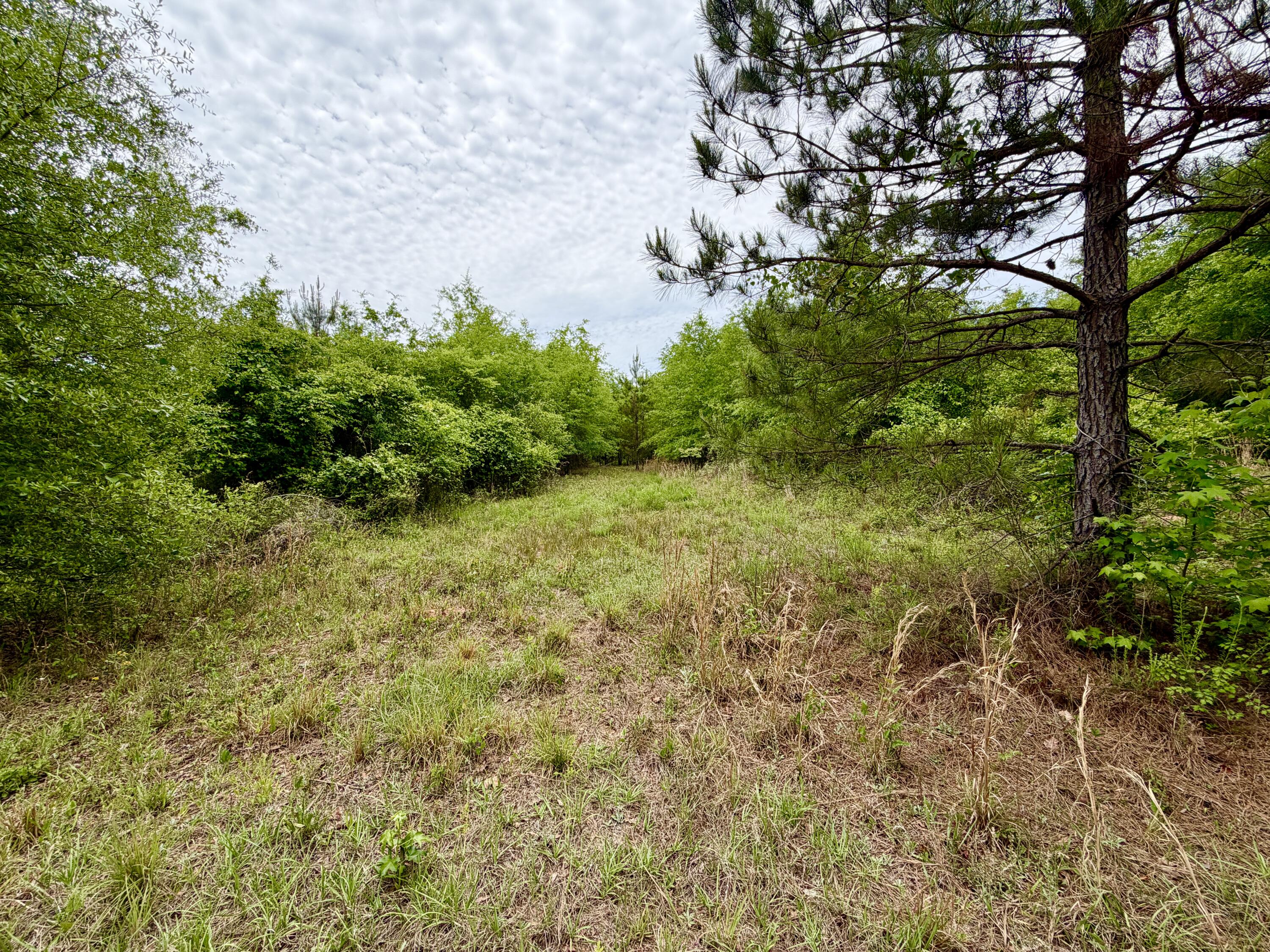215 Gresham Road Keysville, GA 30816 - Photo 12 of 15 59AD53E7-911D-4AE0-A68B-9B8B912811C7