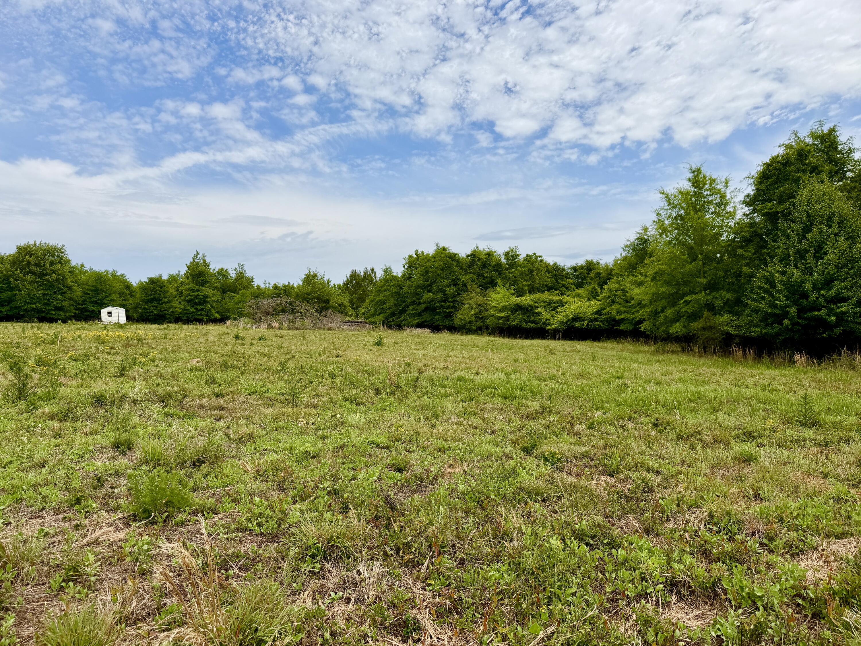 215 Gresham Road Keysville, GA 30816 - Photo 14 of 15 F1B90130-2CDB-4ED4-A53A-C04E60CF839A