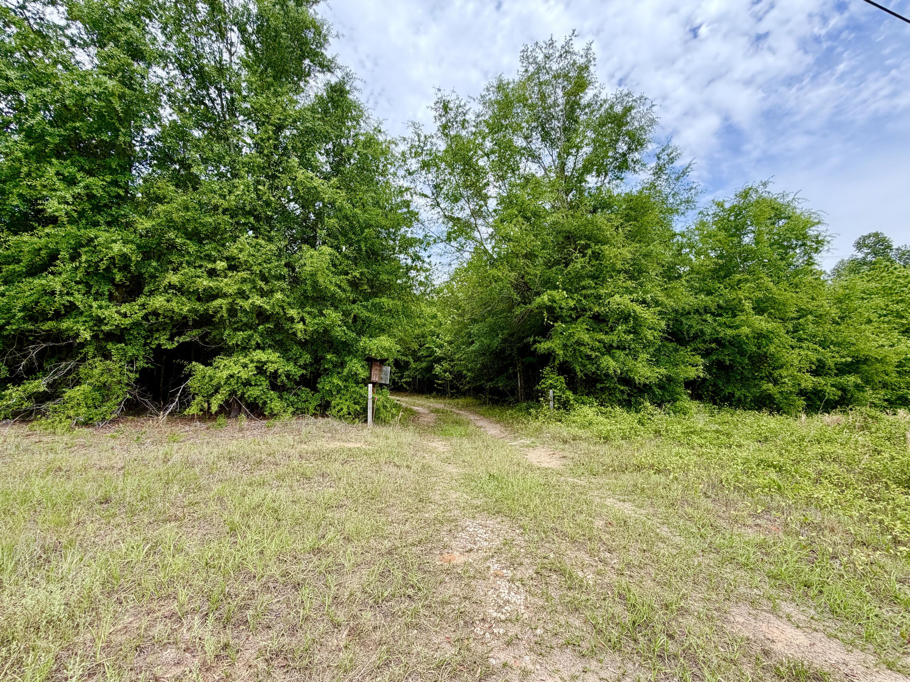 215 Gresham Road Keysville, GA 30816 - Photo 10 of 15 D980F272-7AB9-4EC4-823D-7F648D9A0231