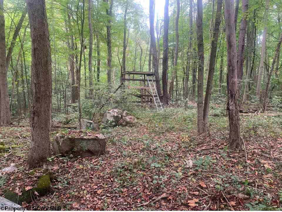 328 Coal Lick Road Albright, WV 26519 - Photo 11 of 27 Gallery Image 11