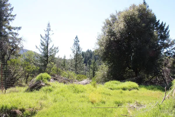 $299,000 | 500 Woodman Creek Road, Laytonville, CA 95454
