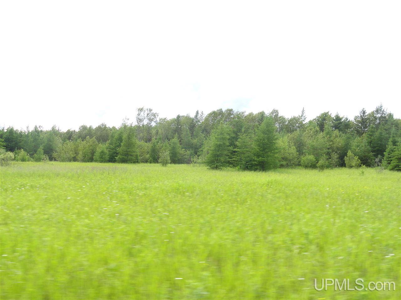 416 (23rd Road Gladstone, MI 49837 - Photo 8 of 36