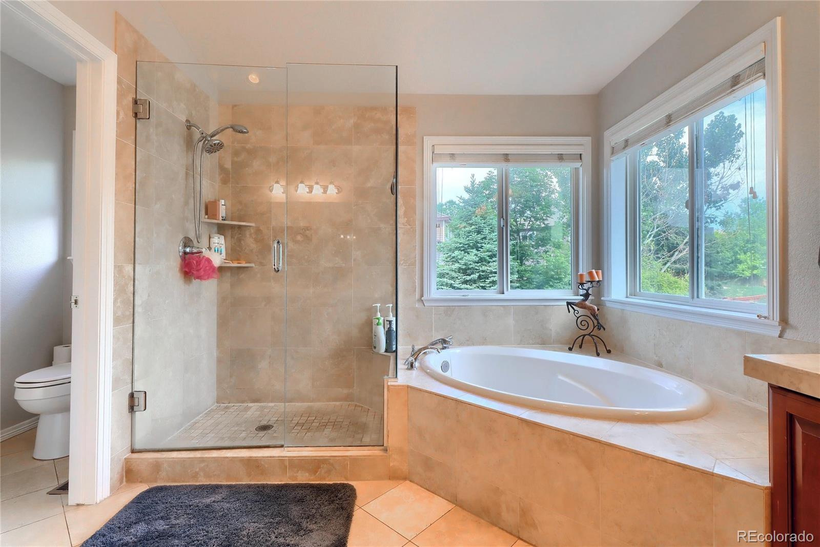 721 Ridgemont Circle Highlands Ranch, CO 80126 - Photo 22 of 40 Gallery Image 22