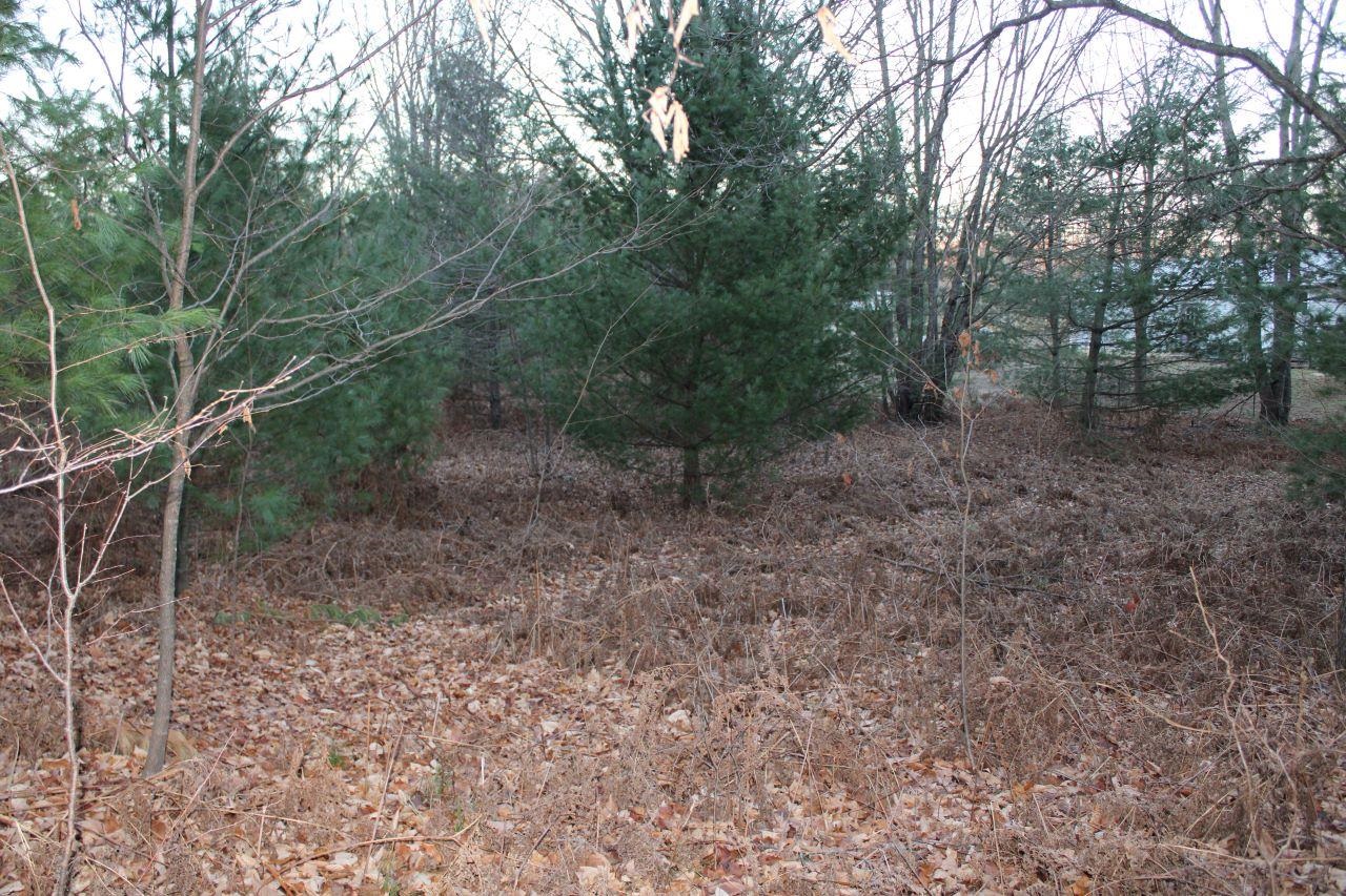 9396 Southwest Raspberry Ridge, Unit LOT: 7 Fife Lake, MI 49633 - Photo 83 of 86