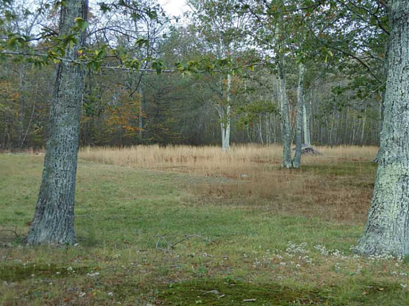 645 Rocky Hill Road Scituate, RI 02857 - Photo 21 of 21 Yard/Garden.