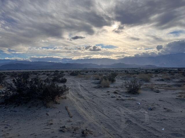 2-15 30th Avenue Thousand Palms, CA 92276 - Photo 7 of 7 a view of a dry yard with trees