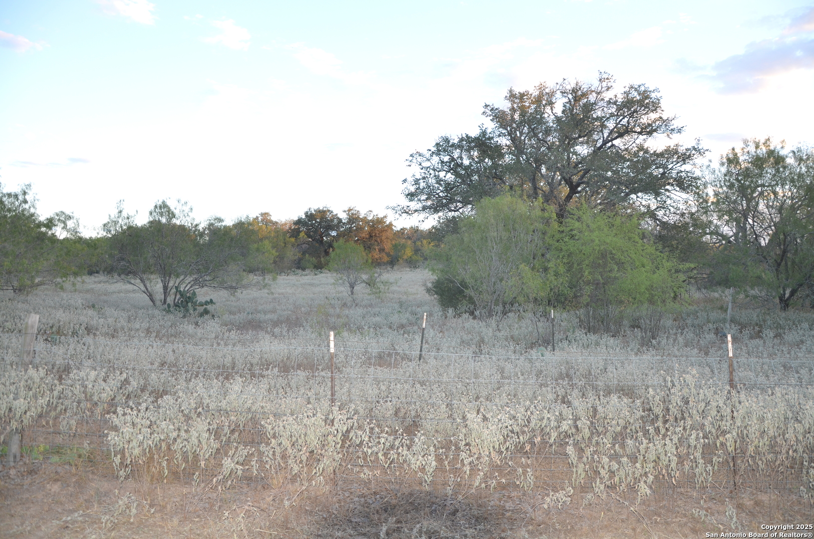 1219 County Road 761 Devine, TX 78016 - Photo 27 of 31 a view of a dry dry field