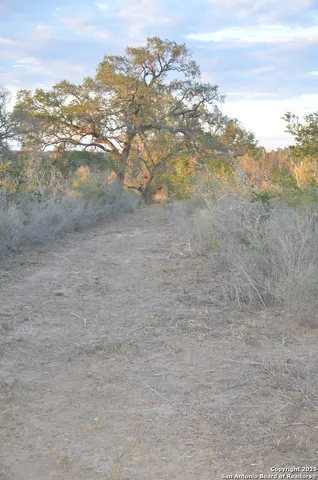 a view of city and mountain