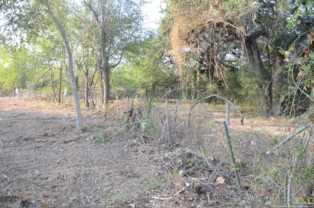 a view of a yard with trees