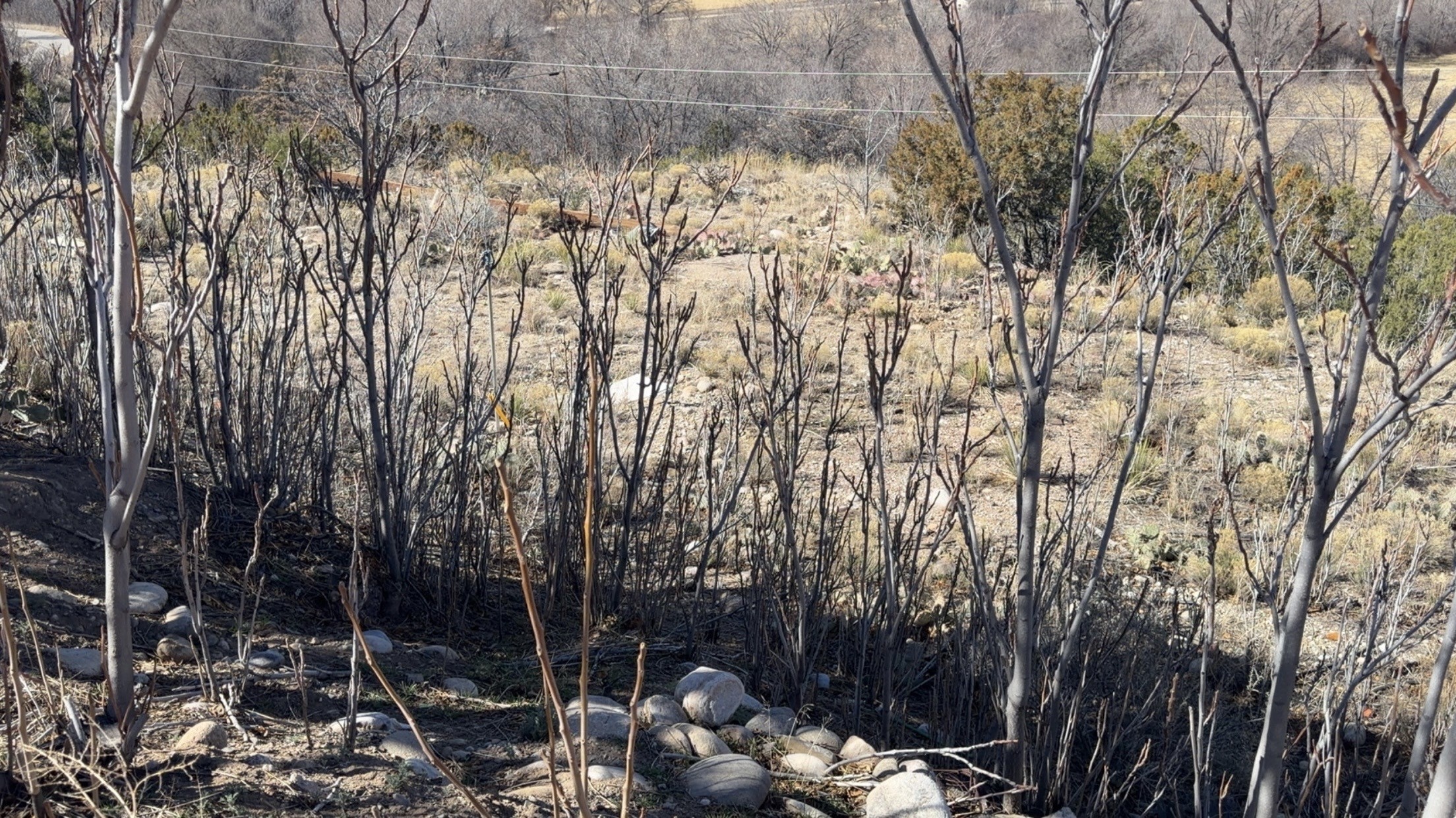 1378-state Rd 1378-state Road Velarde, NM 87582 - Photo 13 of 16