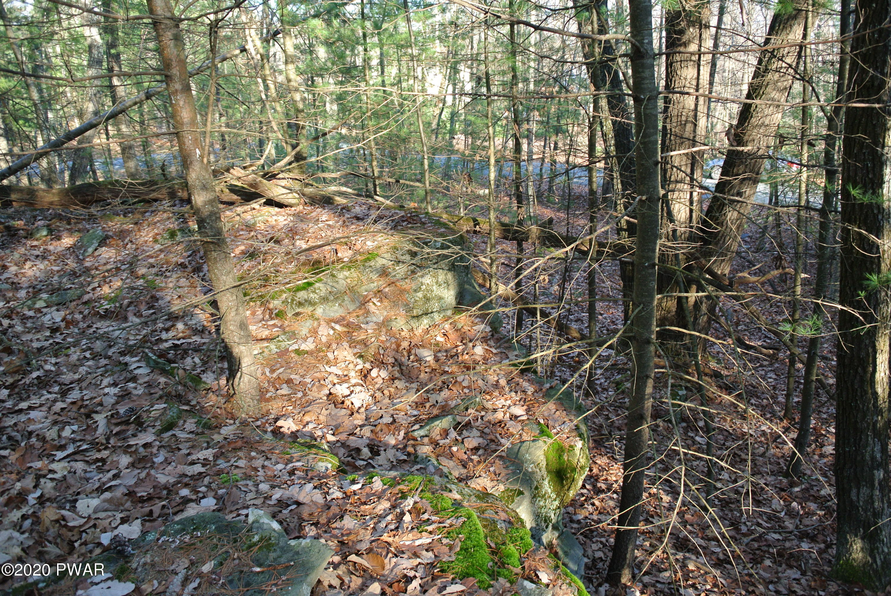 Lot 139 Pitch Pine Road Dingmans Ferry, PA 18328 - Photo 4 of 4