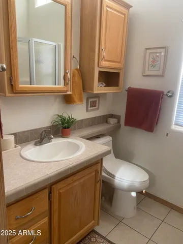 a bathroom with a sink and a toilet