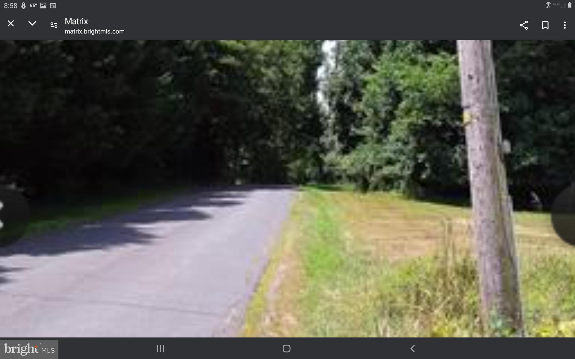 Lot 1 Mcglothlin Road Conowingo, MD 21918 - Photo 4 of 4 14 + Acres on quite dead end country road.