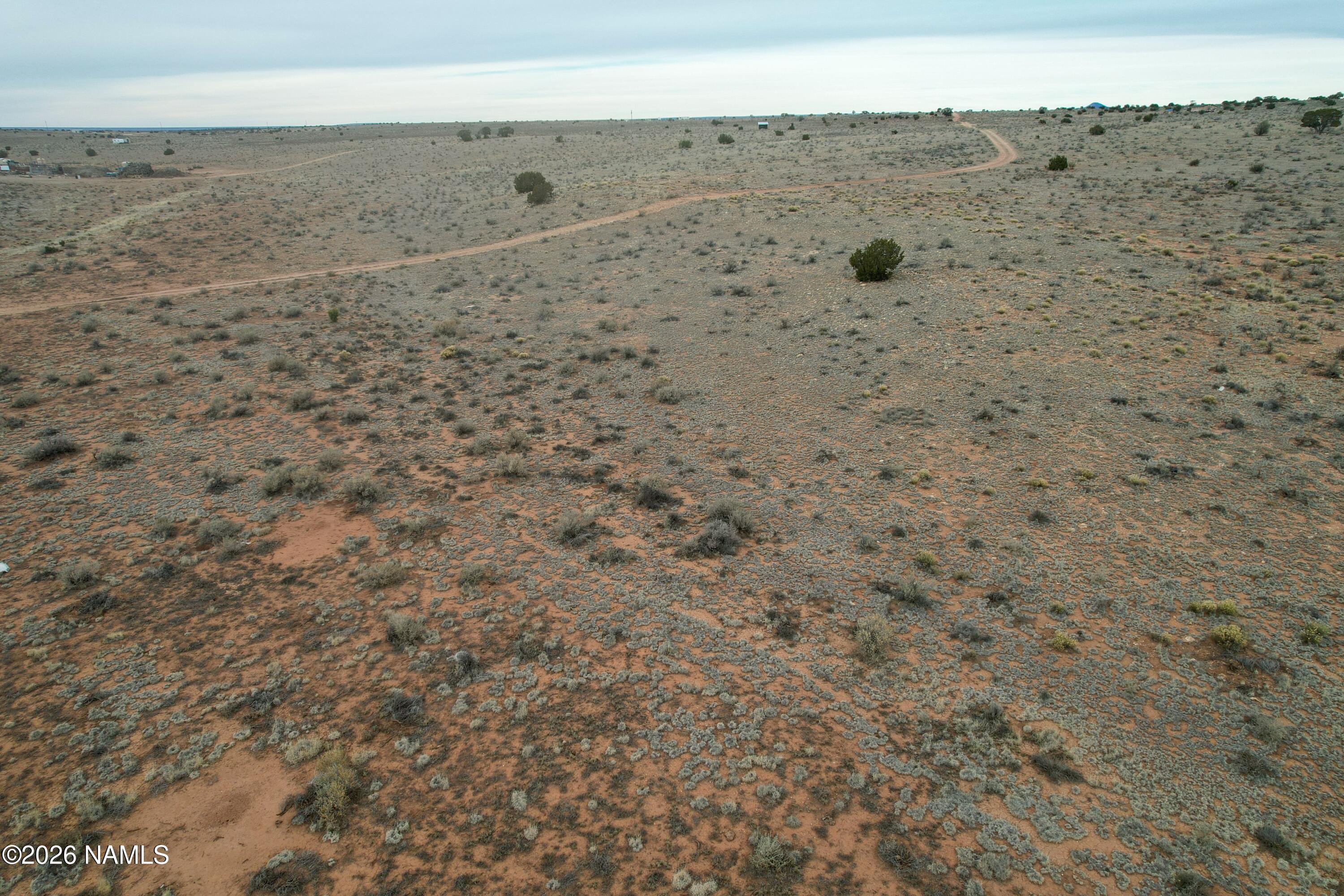 608 East Foothill Drive Williams, AZ 86046 - Photo 6 of 7 a view of a dry yard with wooden floor